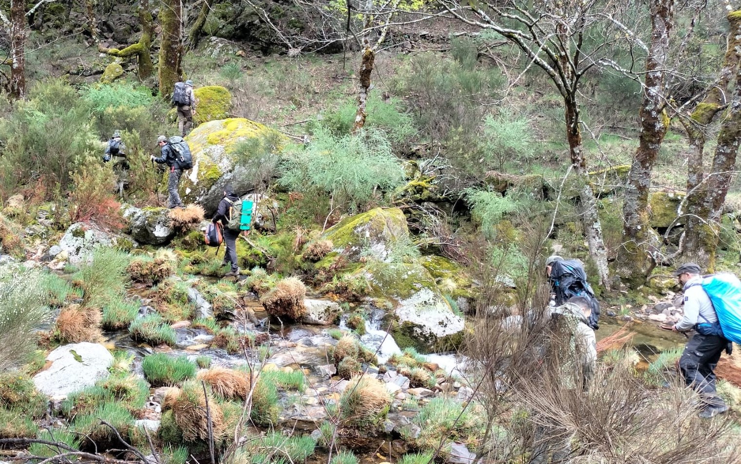 PERDURO Bushwhacking Bushcraft Técnicas de Sobrevivência | Facebook