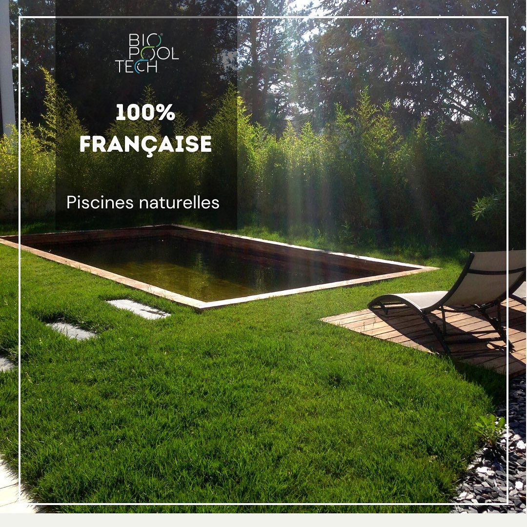 Piscine Naturelle Bois Silence Ca Pousse