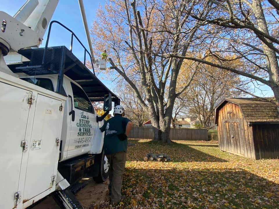 Len’s Stump Grinding & Tree Service LLC