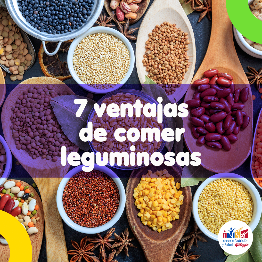 INSK - Las leguminosas son semillas de plantas grandes, carnosas y ...