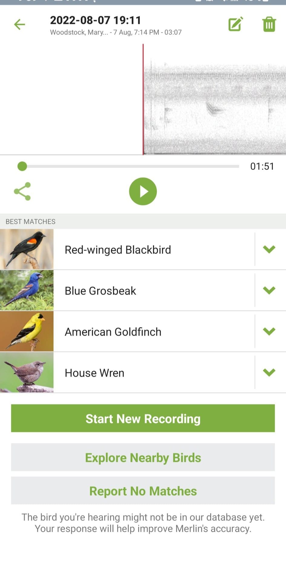 Saw my first Blue grosbeak at HC Conservancy today. Merlin sound