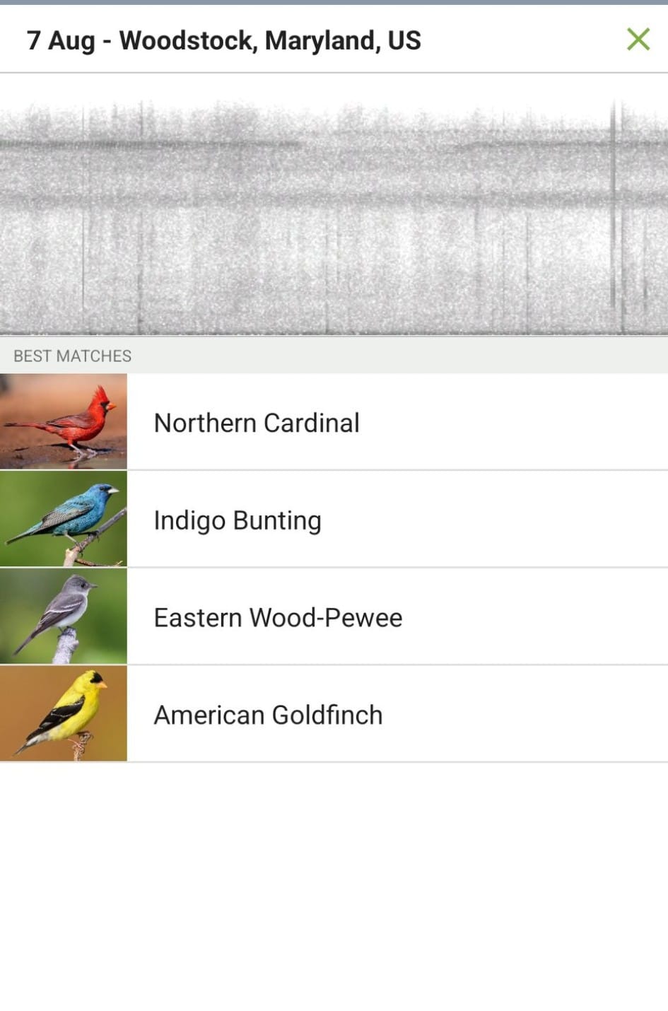 Saw my first Blue grosbeak at HC Conservancy today. Merlin sound