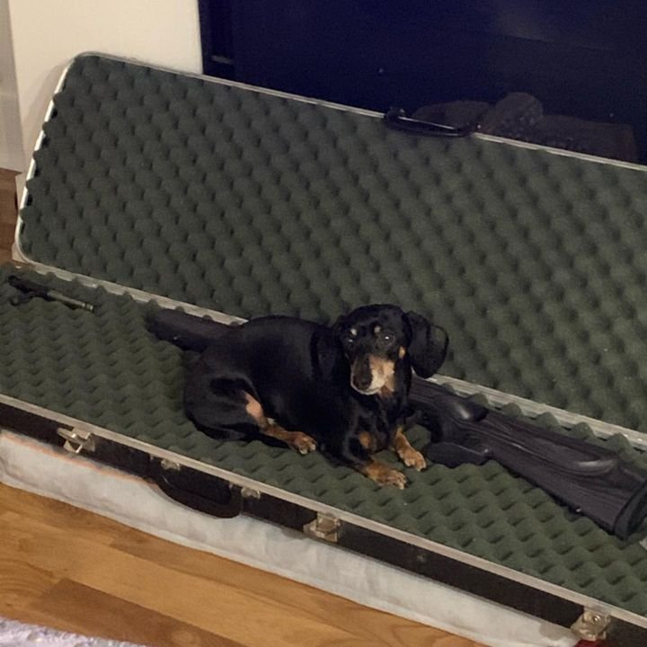 Hurricane 3.0 TT Rams | Carpet partition under back seat….how do I ...