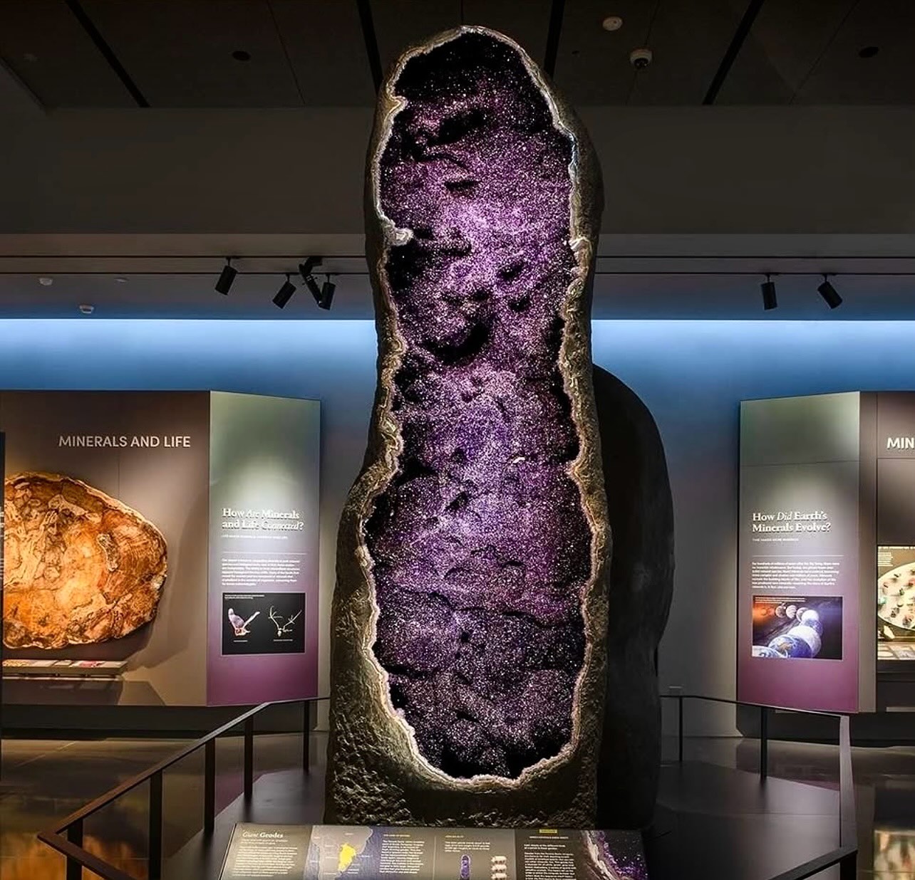 Khushall - Wow check out This Giant 12-foot- (3.6-meter-) high, 9,000 ...