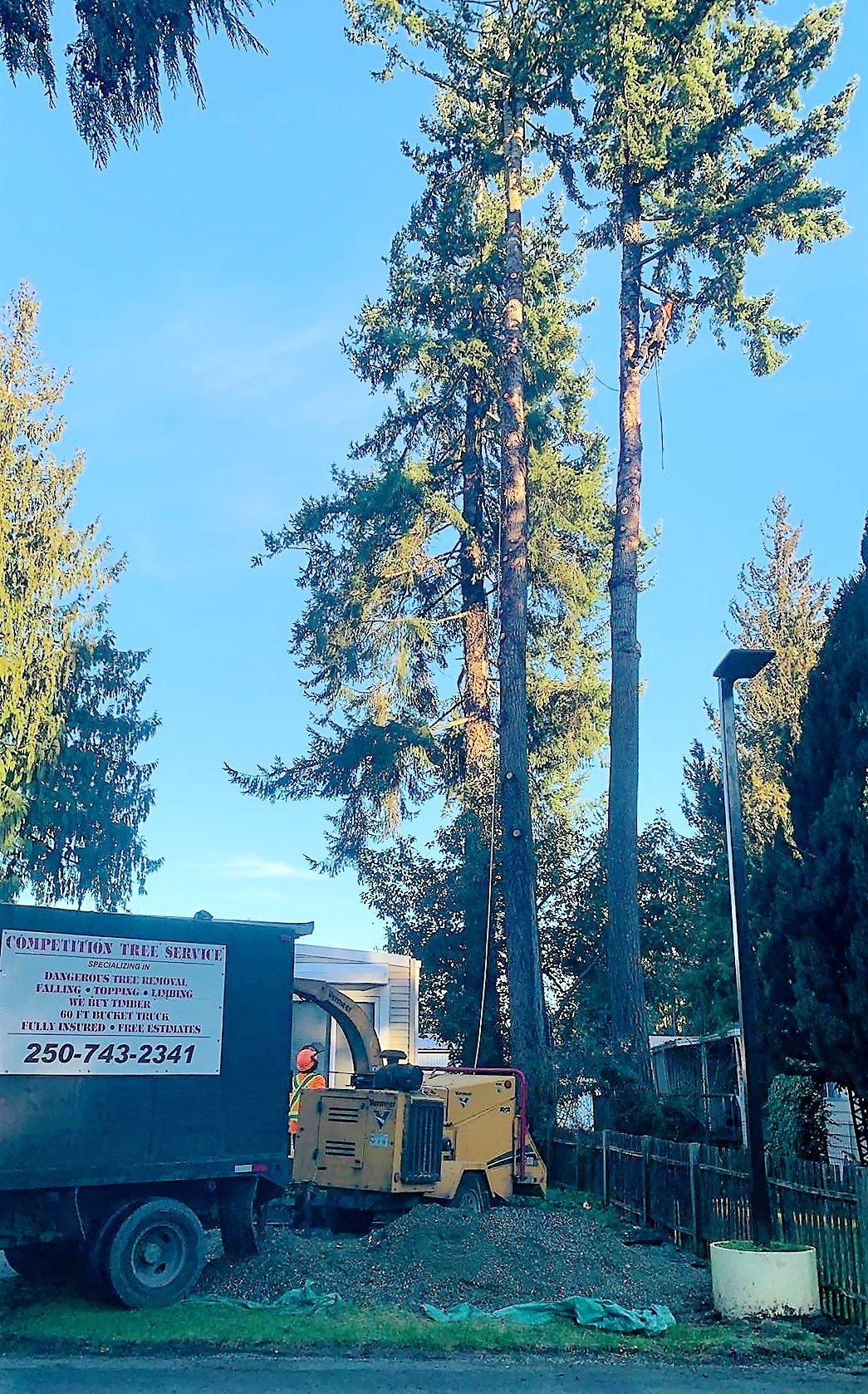 For the last 40... - Competition Tree Service & Contracting