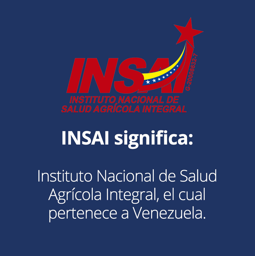 CAHE Group - ¿Conoces el significado de las siglas INSAI?...