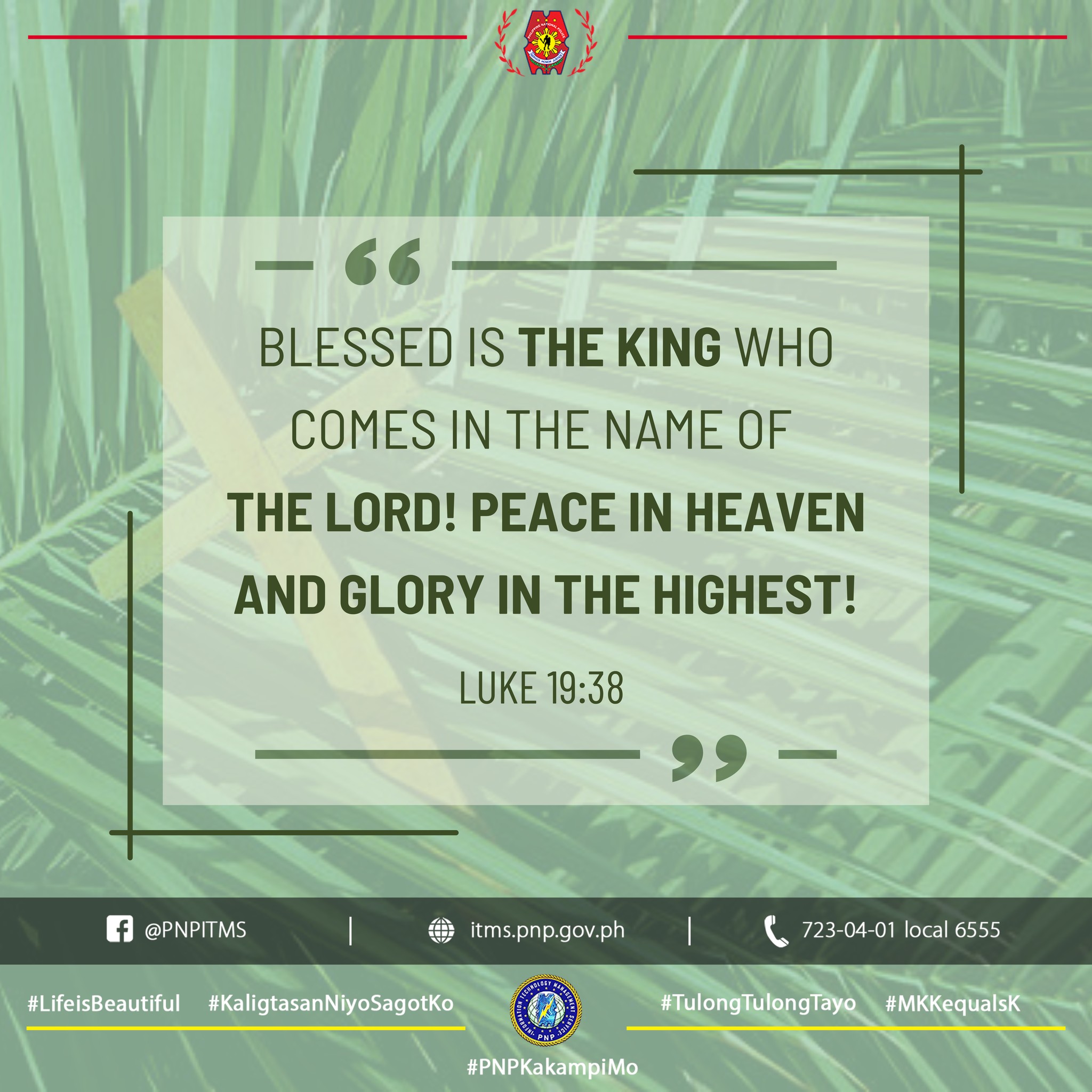 Information - VERSE OF THE DAY | Luke 19:38 is a verse from the New ...