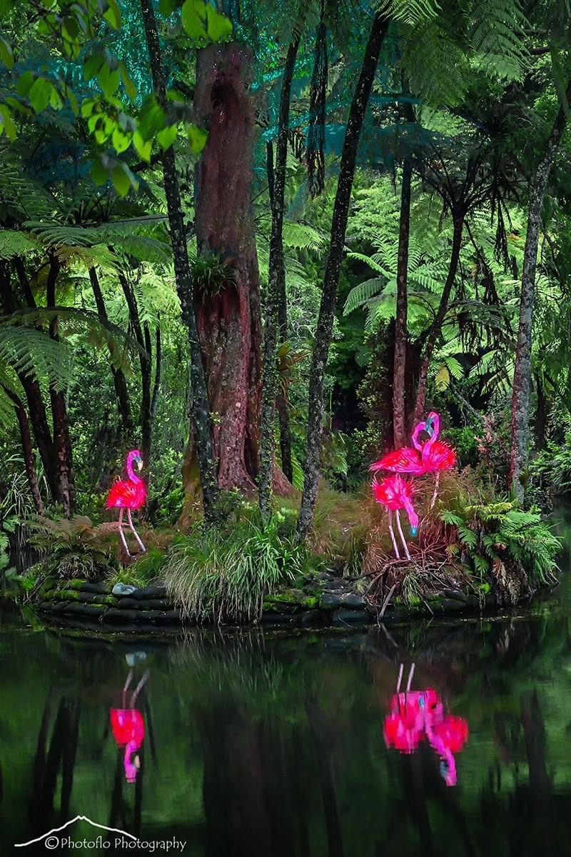 The magical ‘festival of the lights’... - Kiwis Living Abroad | Facebook