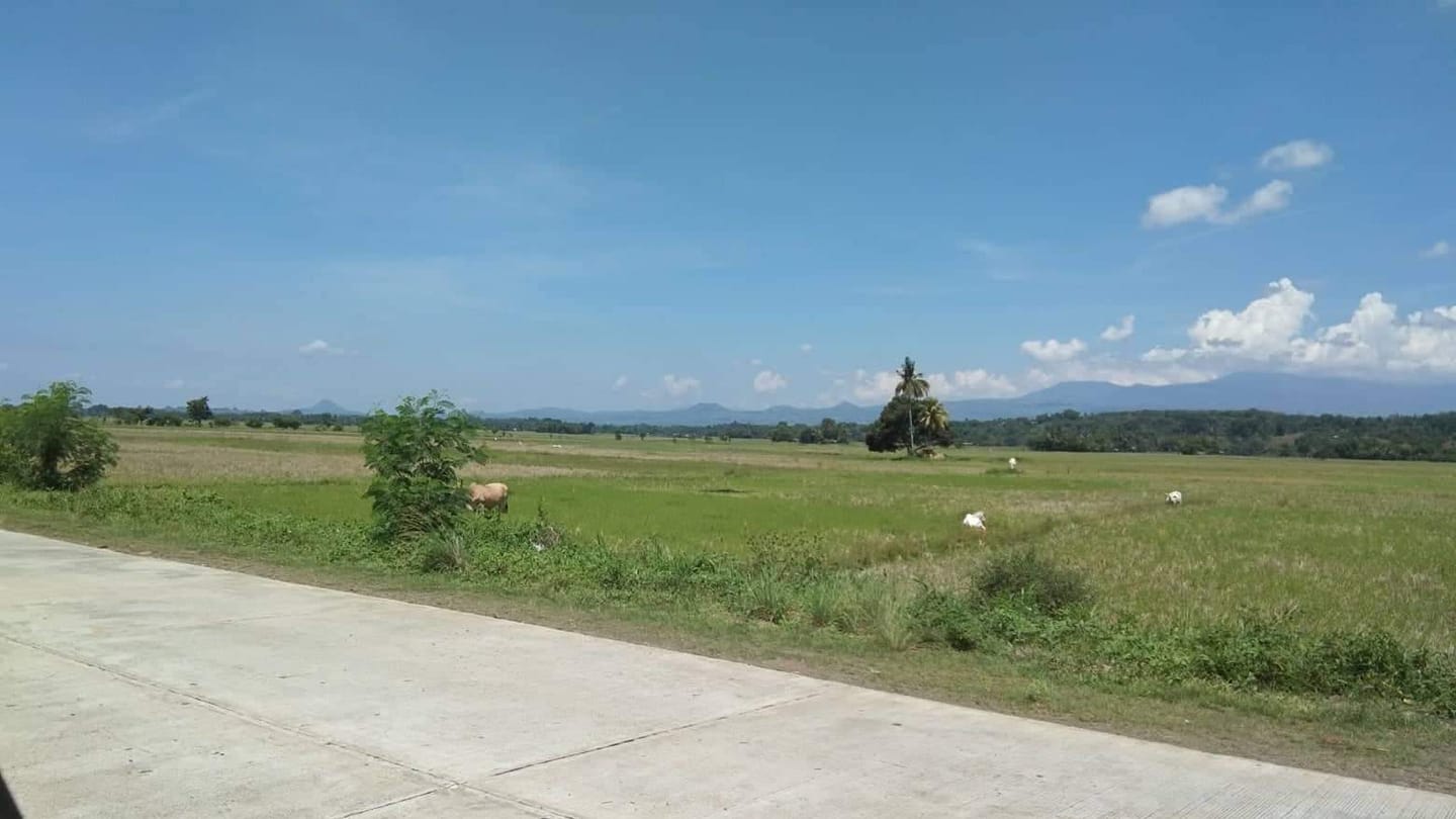 Basakan Baligya/Prenda | Malaybalay