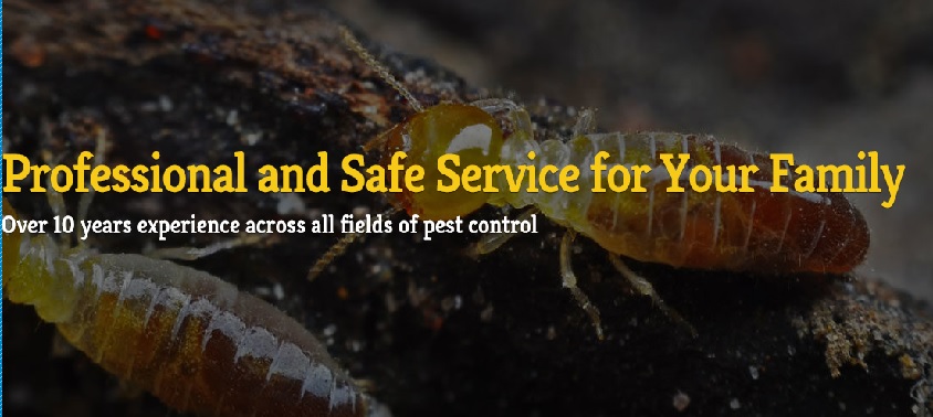OnPoint Pest Control | Meringandan West QLD