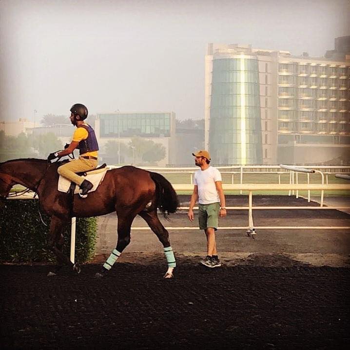 Okbah Mohammed Aashour | Dubai