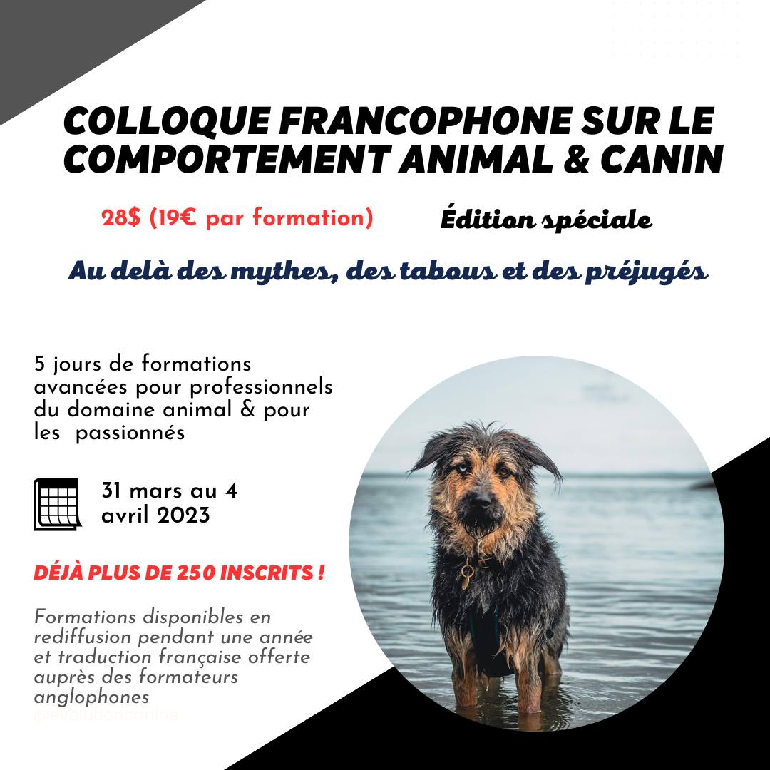 Annonce Pour Promener Des Chiens