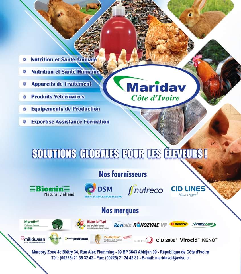 Maridav CI | Marcory Abidjan