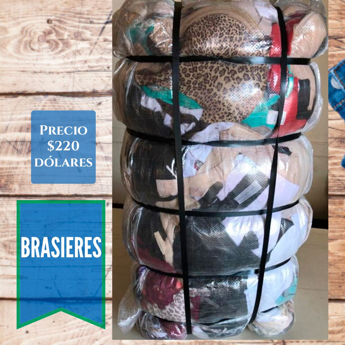 Mundo paca - Mundo paca added a new photo.