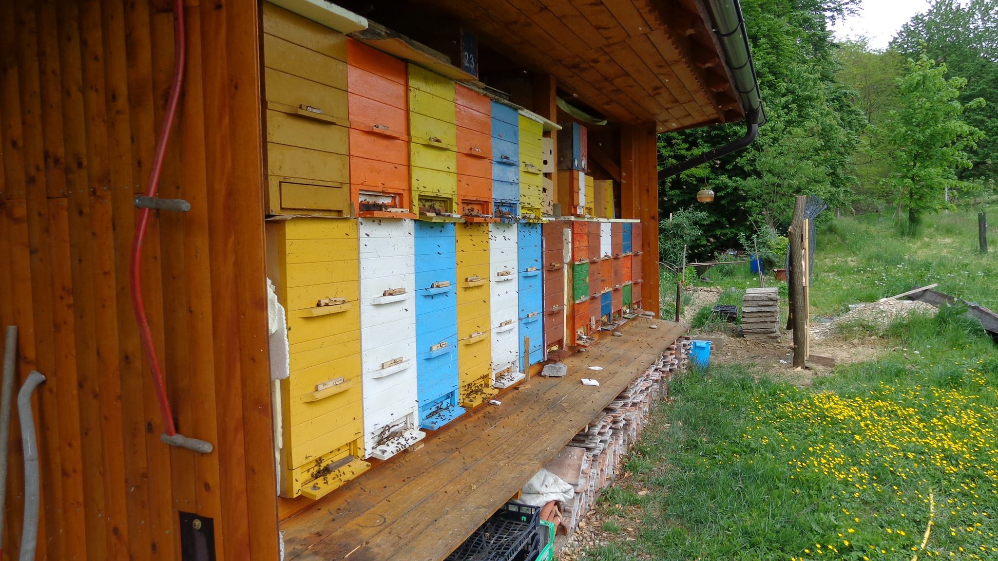 Čebelarstvo... - Čebelarstvo Kozinc / Beekeeping Kozinc