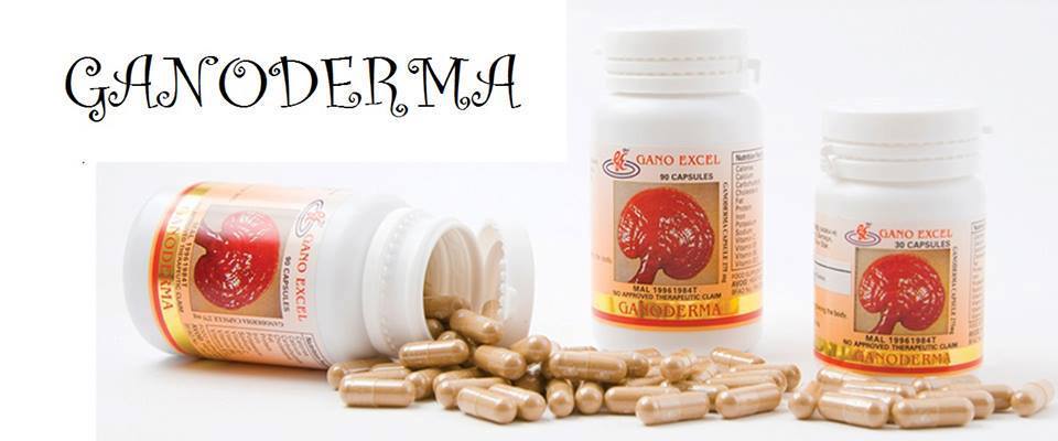 Ganoderma Par Gano Excel - Complément Naturel De Qualité Premium