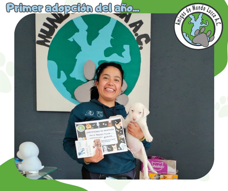 Asociacion - 🐾Primer adopción del año, gracias al equipo de Mundo Lucca ...