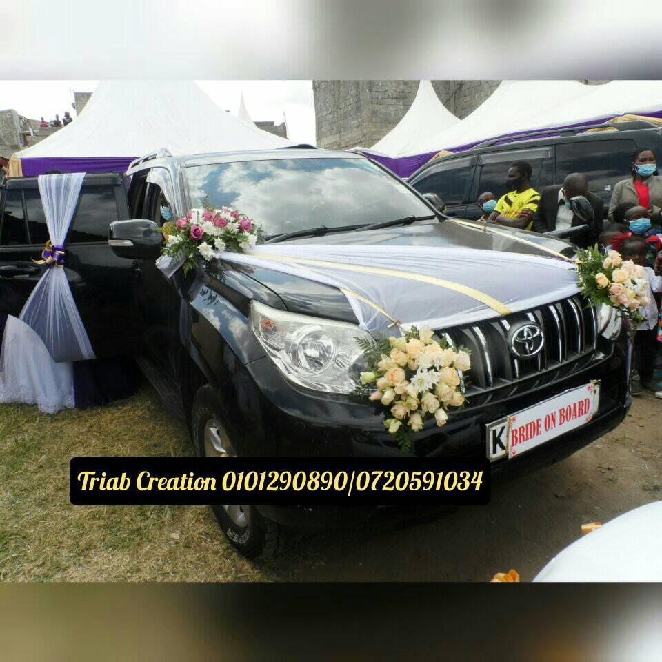 TRIAB creation