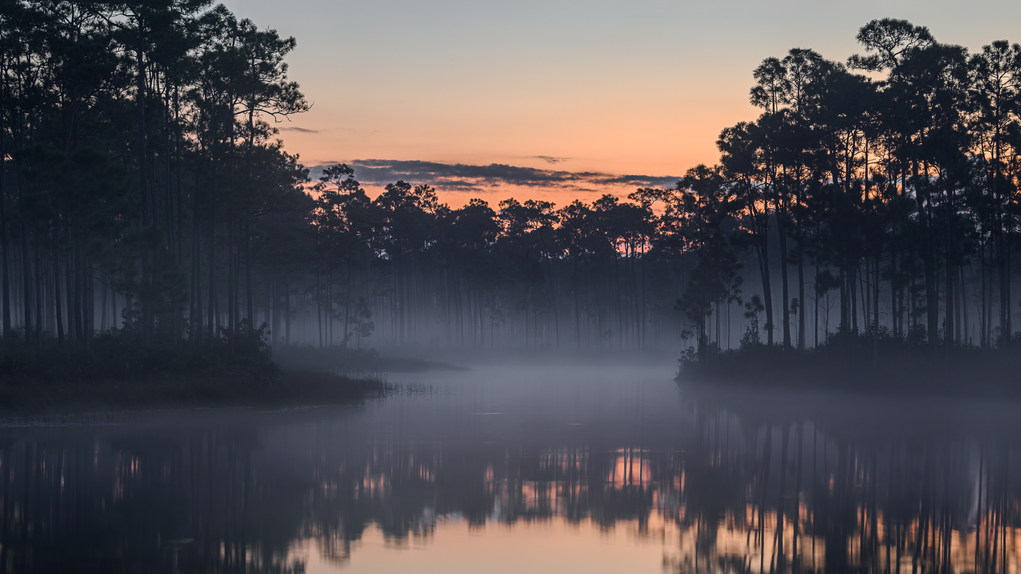 Nature First - Tell us why Nature First means so much to you! Share a ...