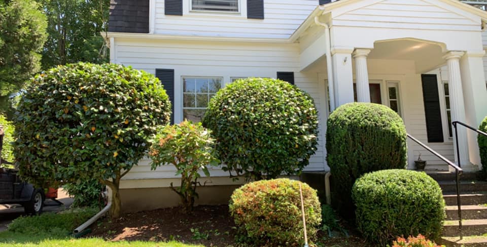 MSS Landscape Services | Portland OR