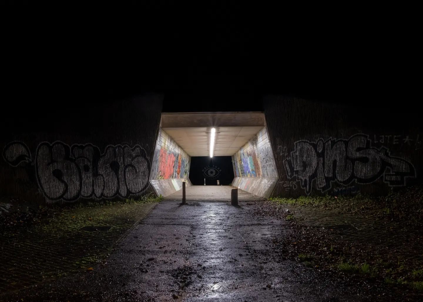 Neil Torr Photography