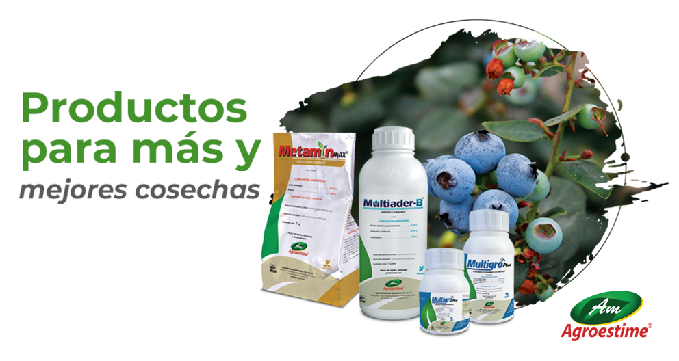 AgriSol | Zamora