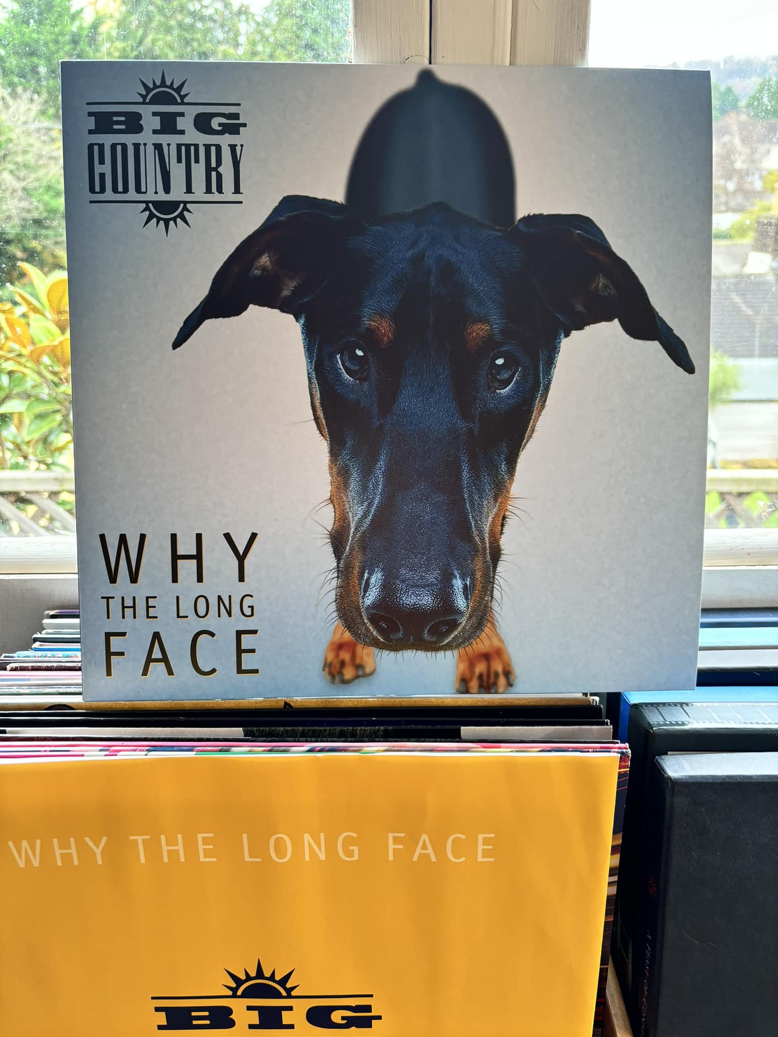 4CD-BOX！ビッグ・カントリー / WHY THE LONG FACE Big Country - Why