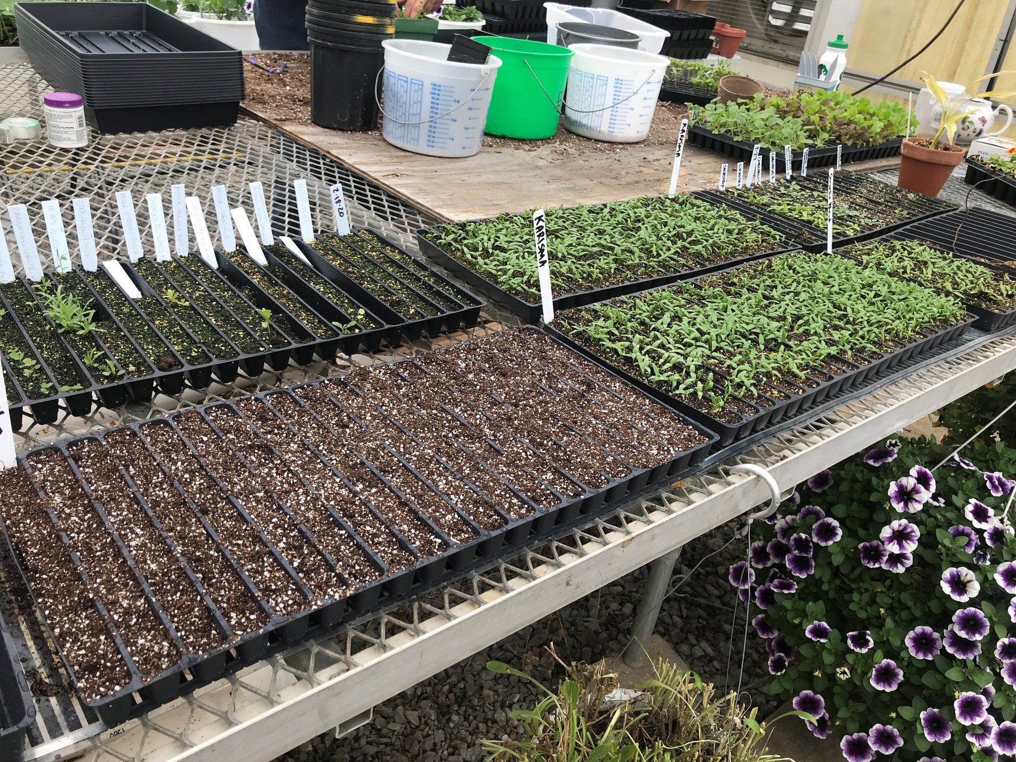 U of I Ext Local Foods/Small Farms - Southern Illinois | Simpson IL