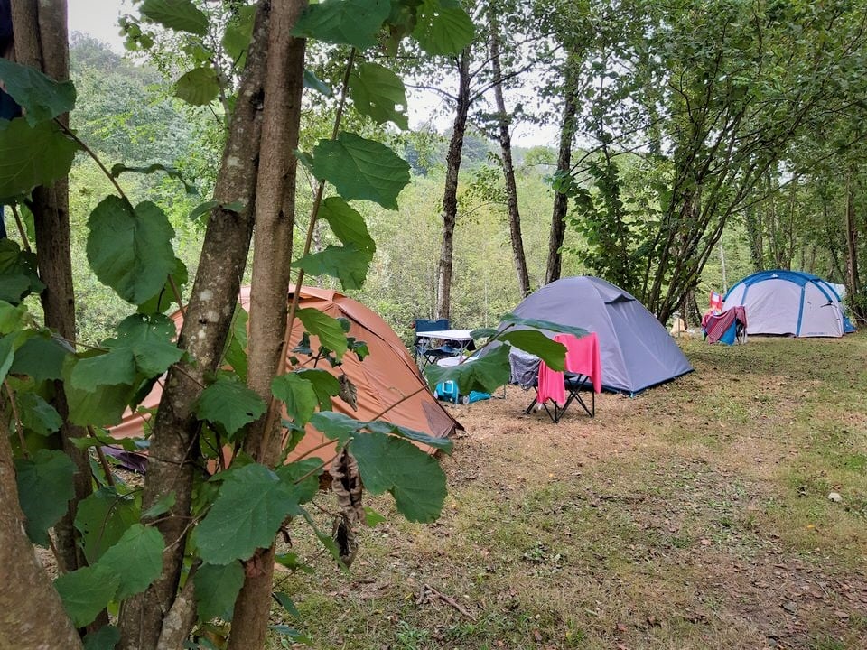 big tent philosophy RBM Panda Large Sunny Beige (2-8 person) + RBM Wood Stove Caminus M Kurzarmtrikot mit top Aerodynamik Sous-Classe:Vélo Gravel Unisexe Farben:Clear Pure | Frame: Lime