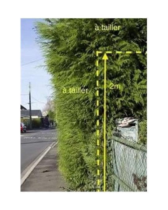 MK - ⚠️ RESPECT DE L'ESPACE PUBLIC 🌳 📣 Pour rappel, les haies donnant ...