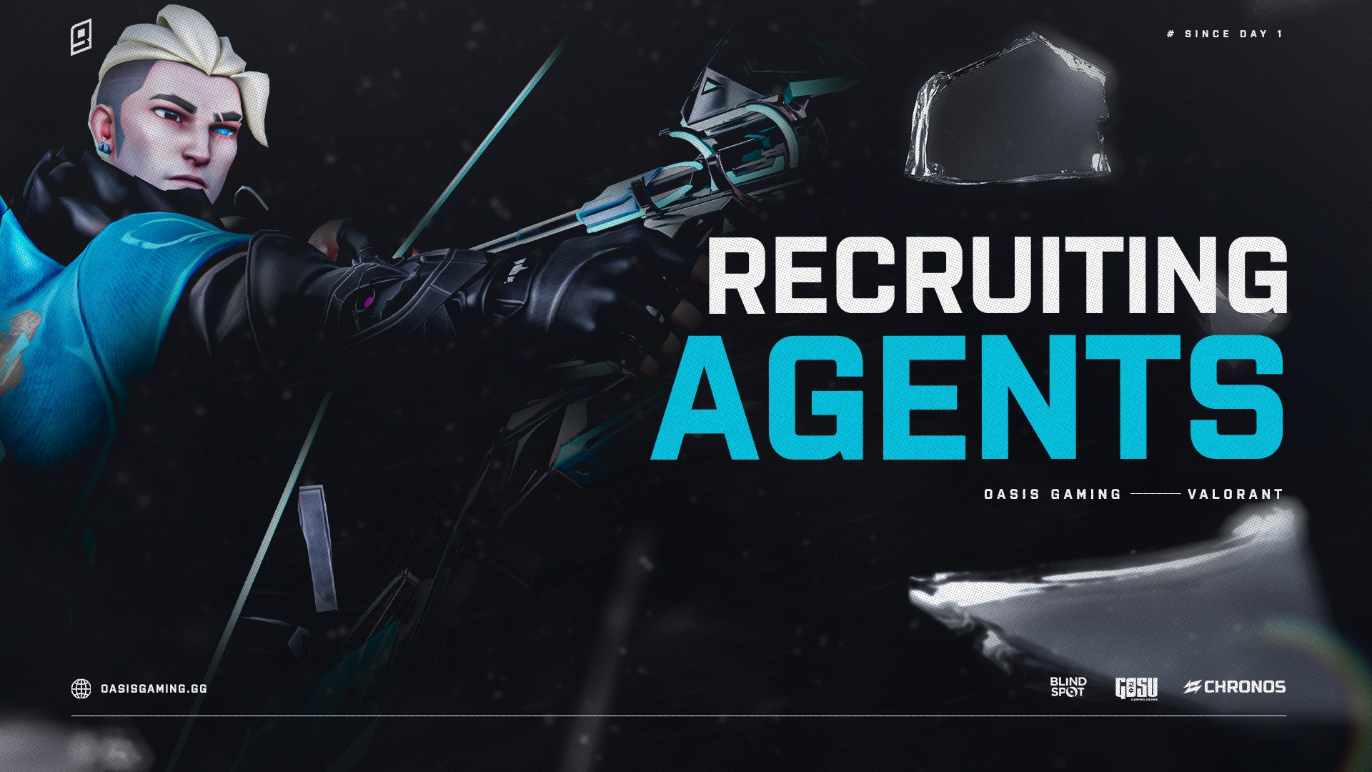 Oasis Gaming - Franchising is just around the corner and...
