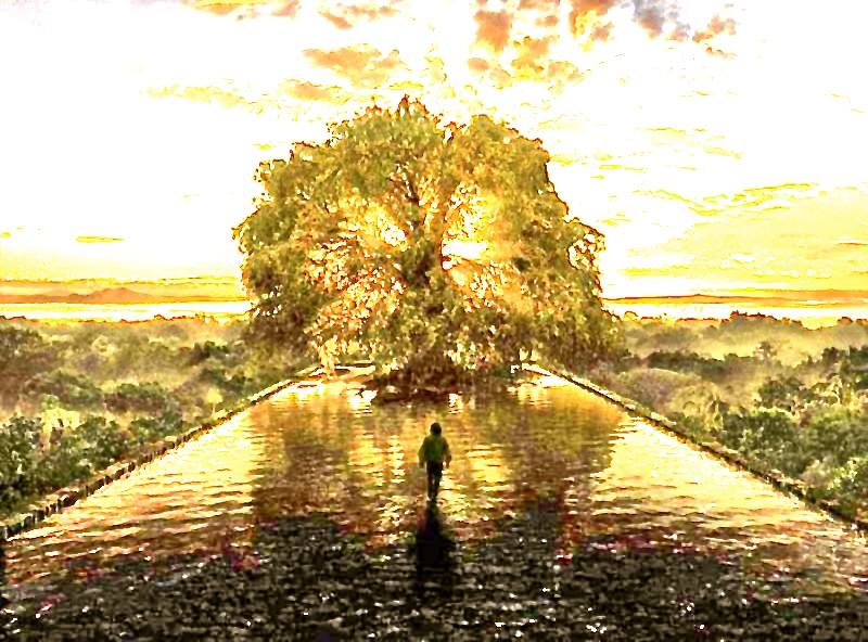 Inner Way