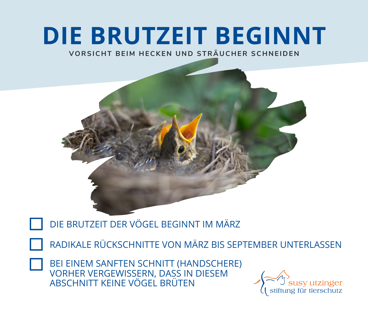 ️🌳 Liebe... - Susy Utzinger Stiftung für Tierschutz - SUST | Facebook