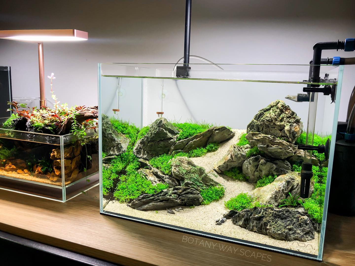 Wabi Kusa and Nano Iwagumi side by... - Botany Way Scapes