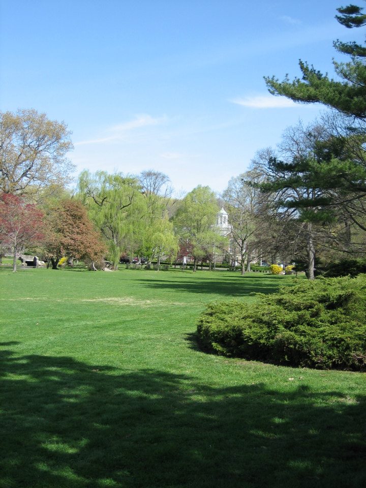 The Friends of the... - The Friends of the Cos Cob Library