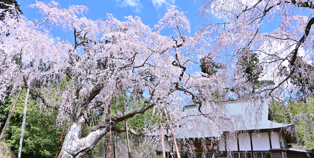 栄町 - 栄町 added a new photo.