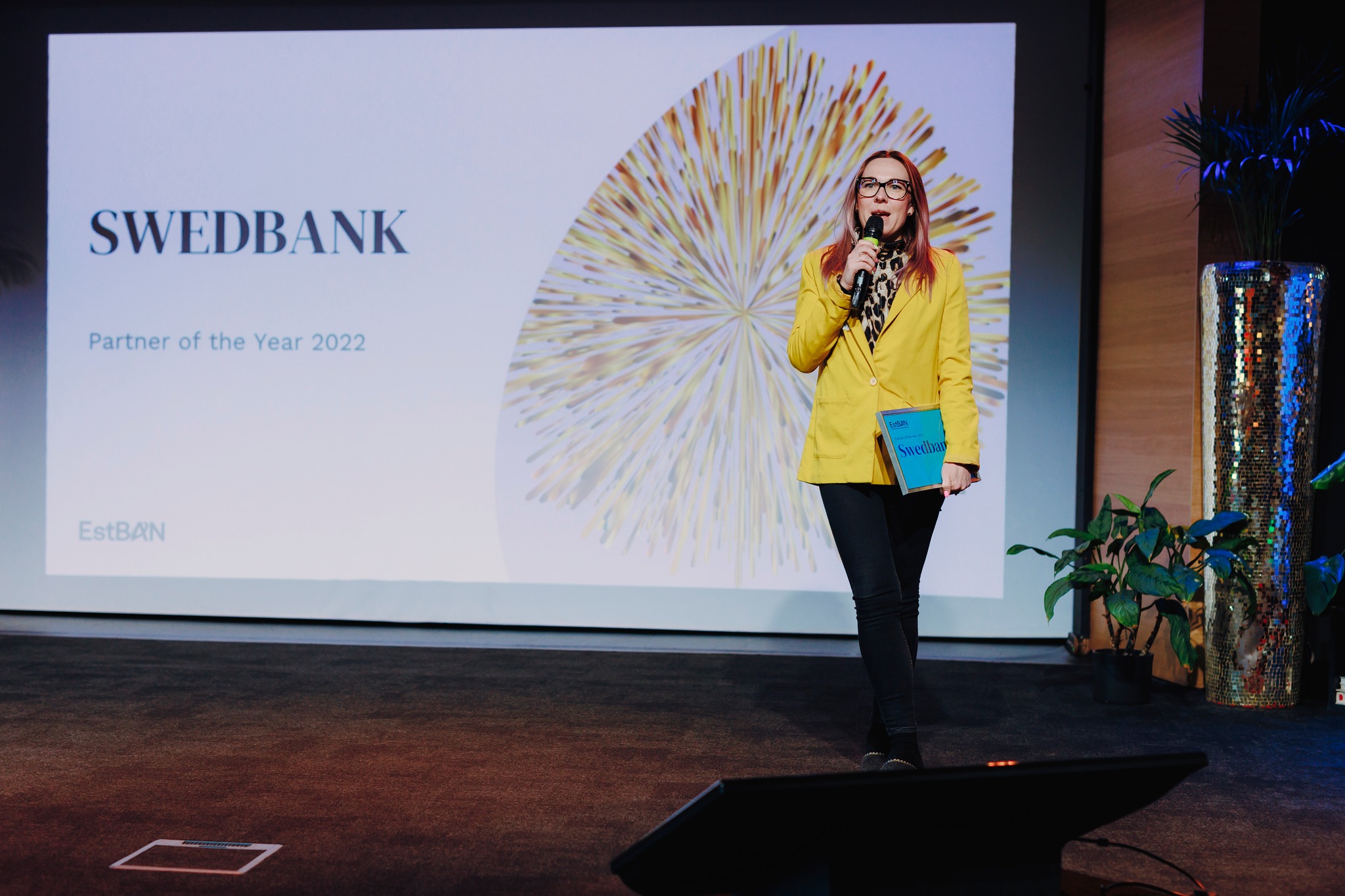 Illustration of Estonia Business Angel Network