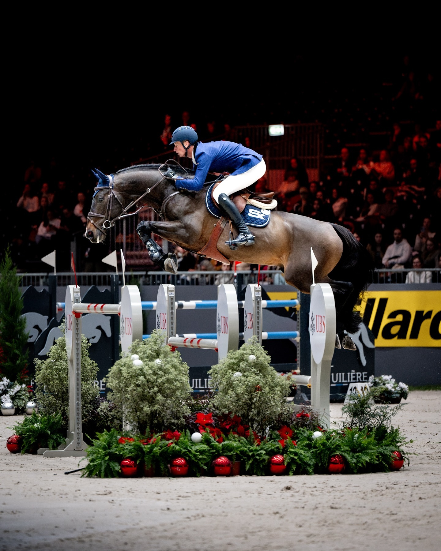 Scuderia 1918 Calle Deluxe flying in the CSI5* 1.45 m class at