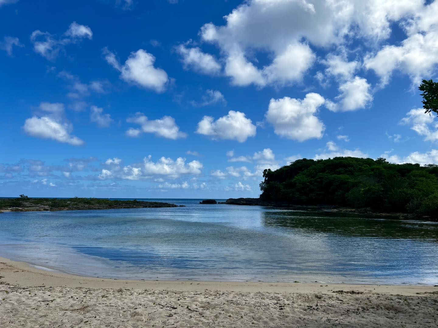 la-papaye-d-or-saint-fran-ois-guadeloupe