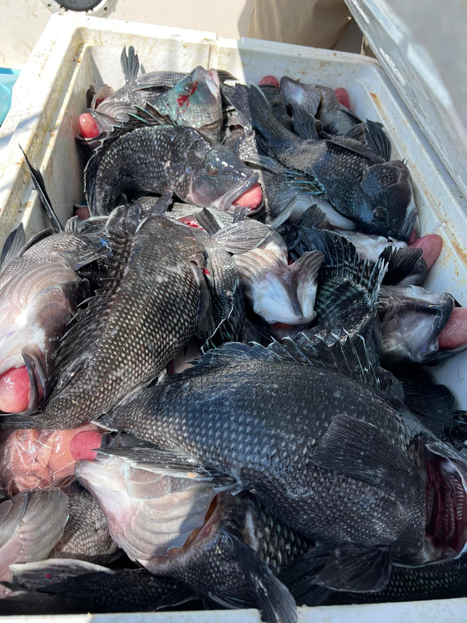First Cousins Fish Cuttery | Hyattsville MD