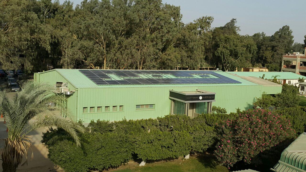 Hammer Electric for Solar Technology | Cairo