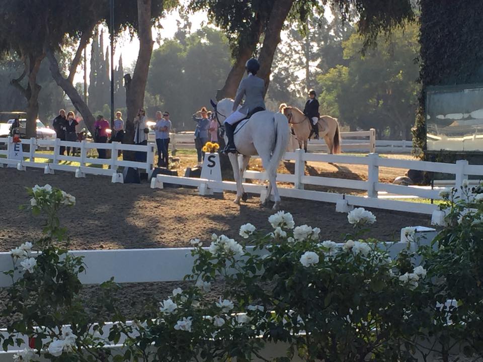 Southern... - Southern California Equestrian Center