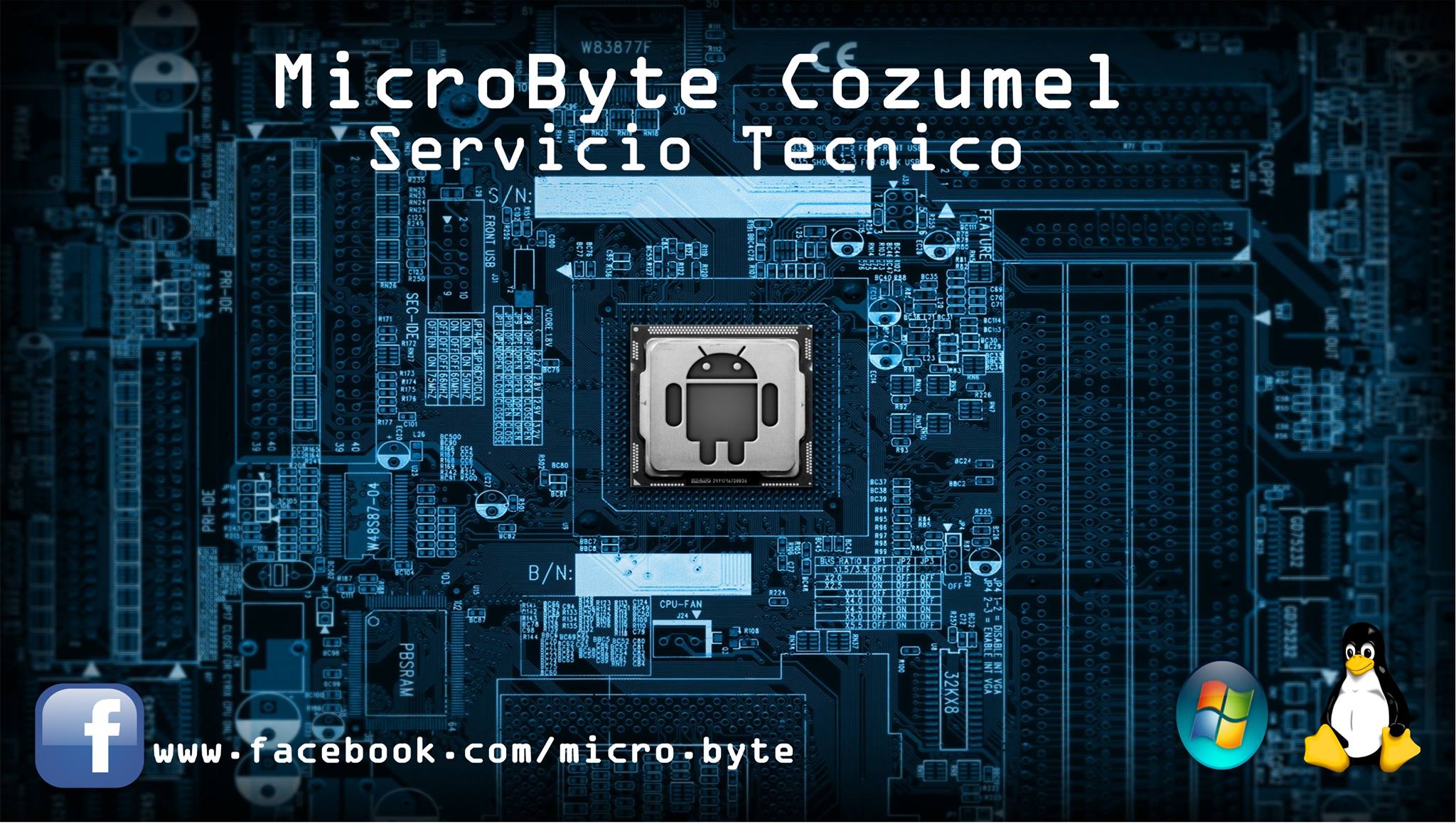Microbyte | San Miguel de Cozumel