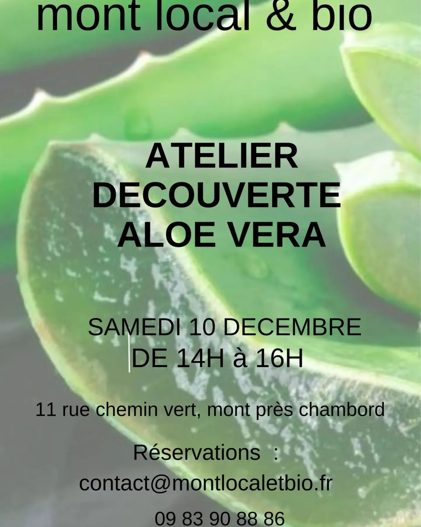 Foire Au Pommes Mont Près Chambord 2022