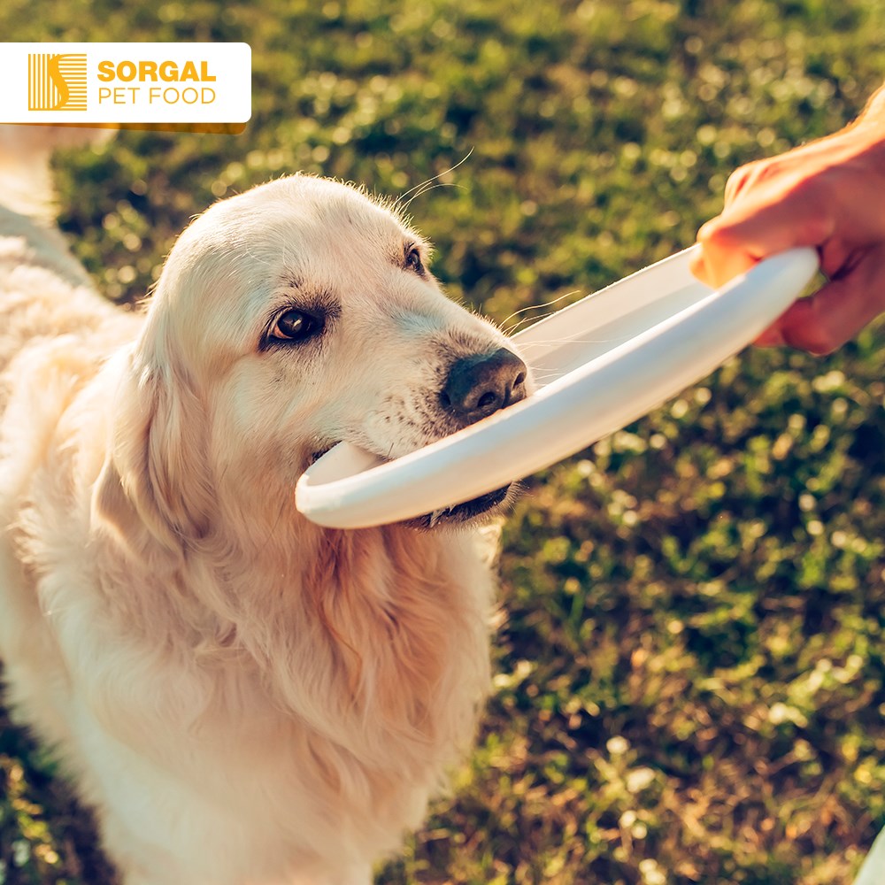 Sorgal Pet Food - O exercício físico é tão importante para...