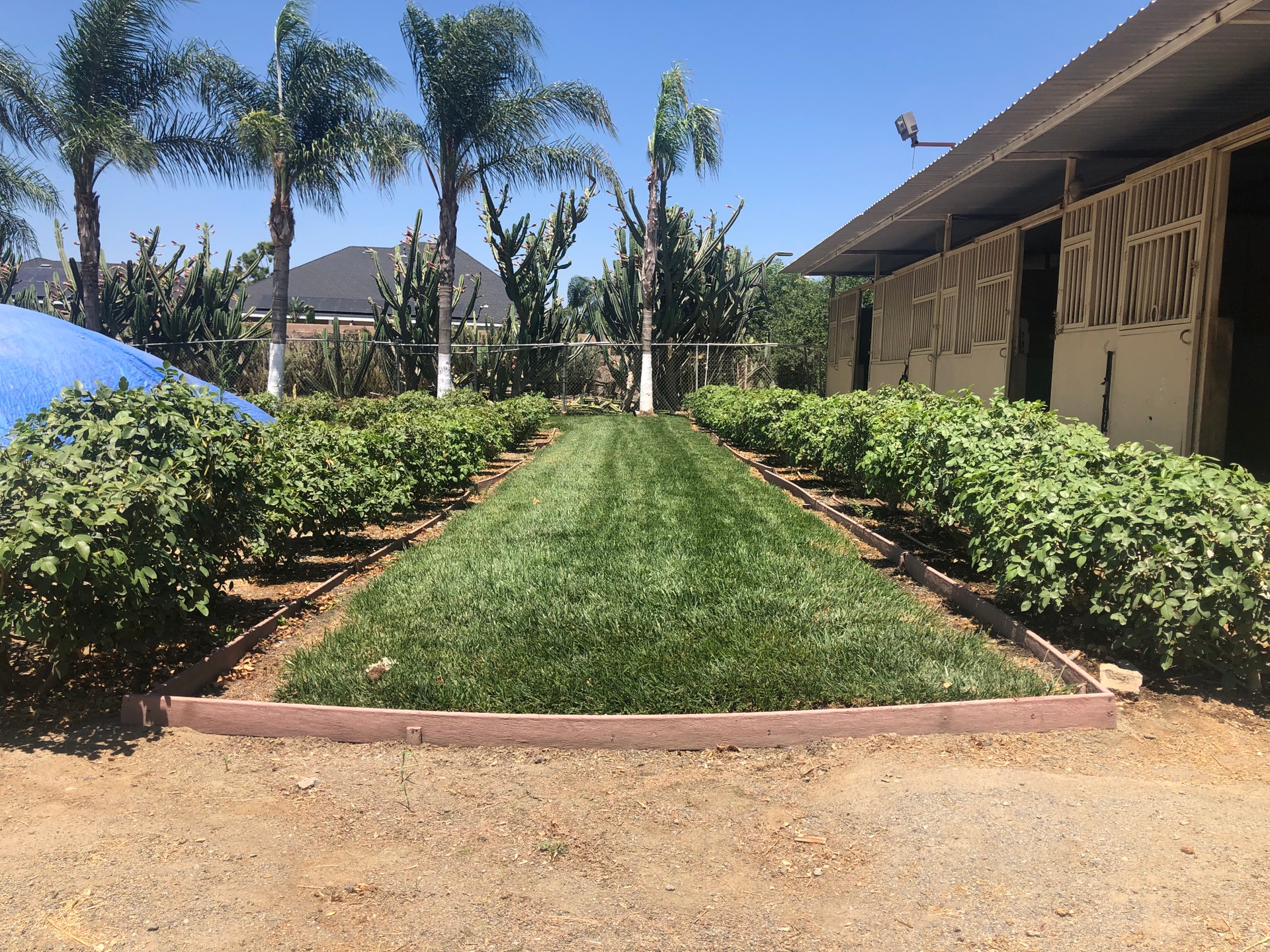 The health and happiness of your... - Placeres Del Oro Ranch