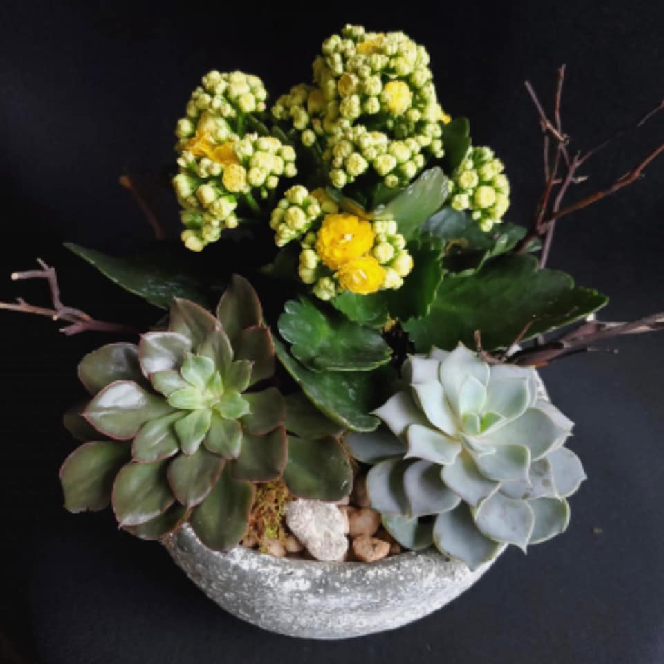 What are you doing for your dad for... - Ninth Street Flowers | Facebook