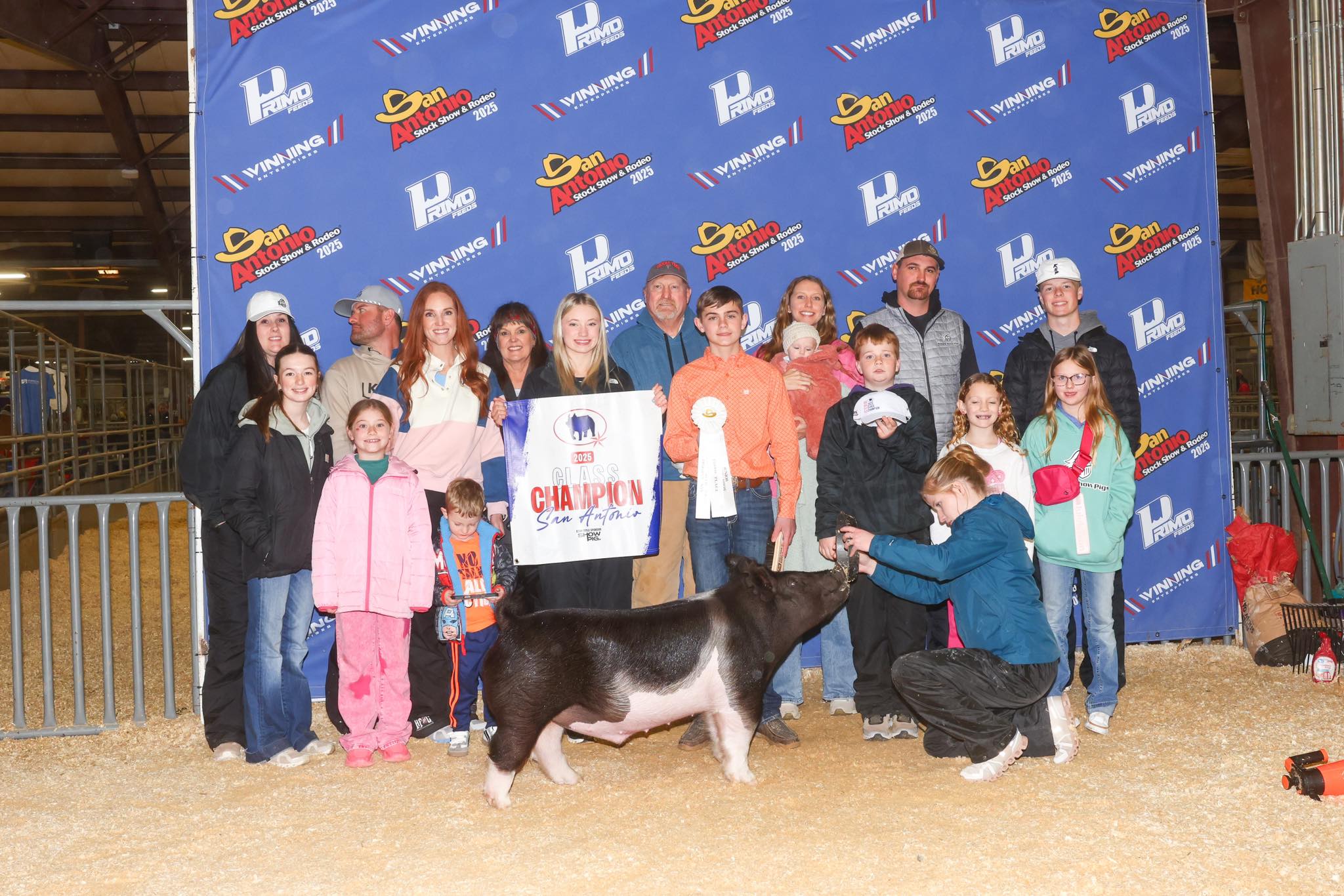 Knight Show Pigs | Shallowater TX