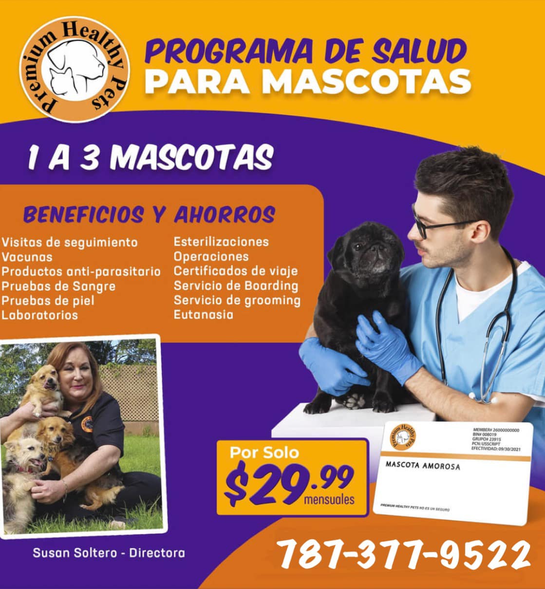 Protector Insurance