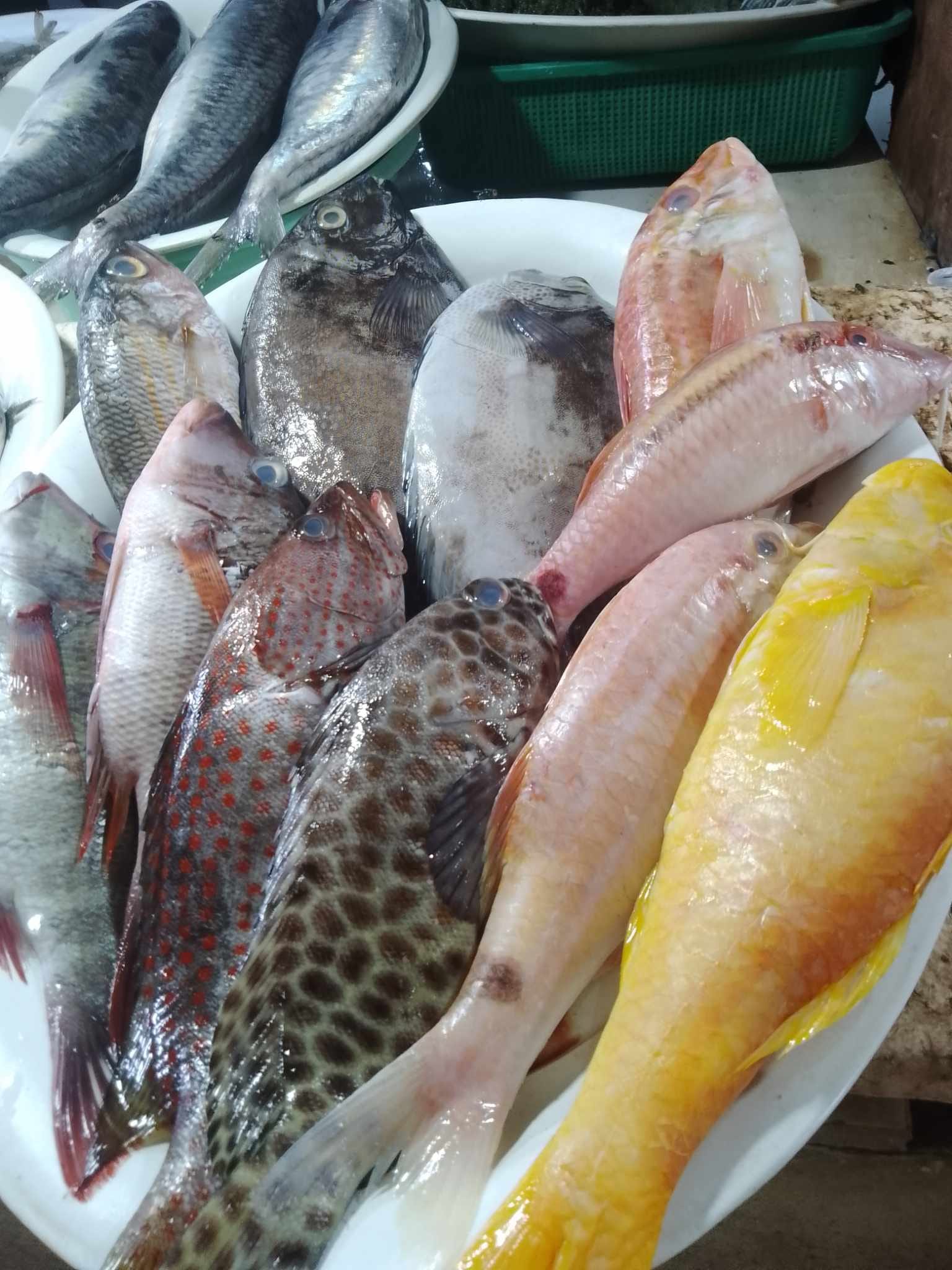 Delada's Fresh Seafoods | Alubijid